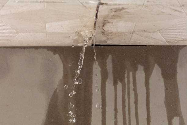 Professional Burst Pipe Cleanup technician working in Memphis, NE